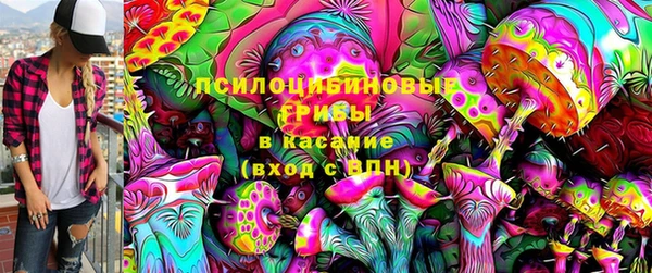 тгк Аркадак