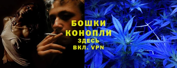 соль ск Арсеньев