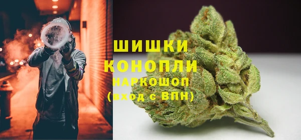 гидра Армянск