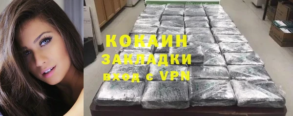 соль ск Арсеньев